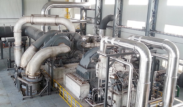 ����� | �ٷ���վ